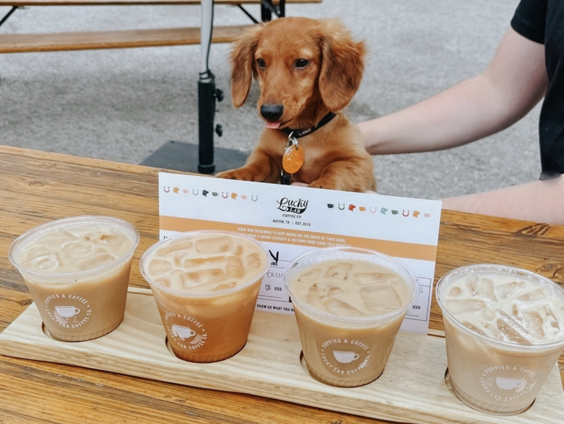 Dog next to Lucky Lab coffee flight.