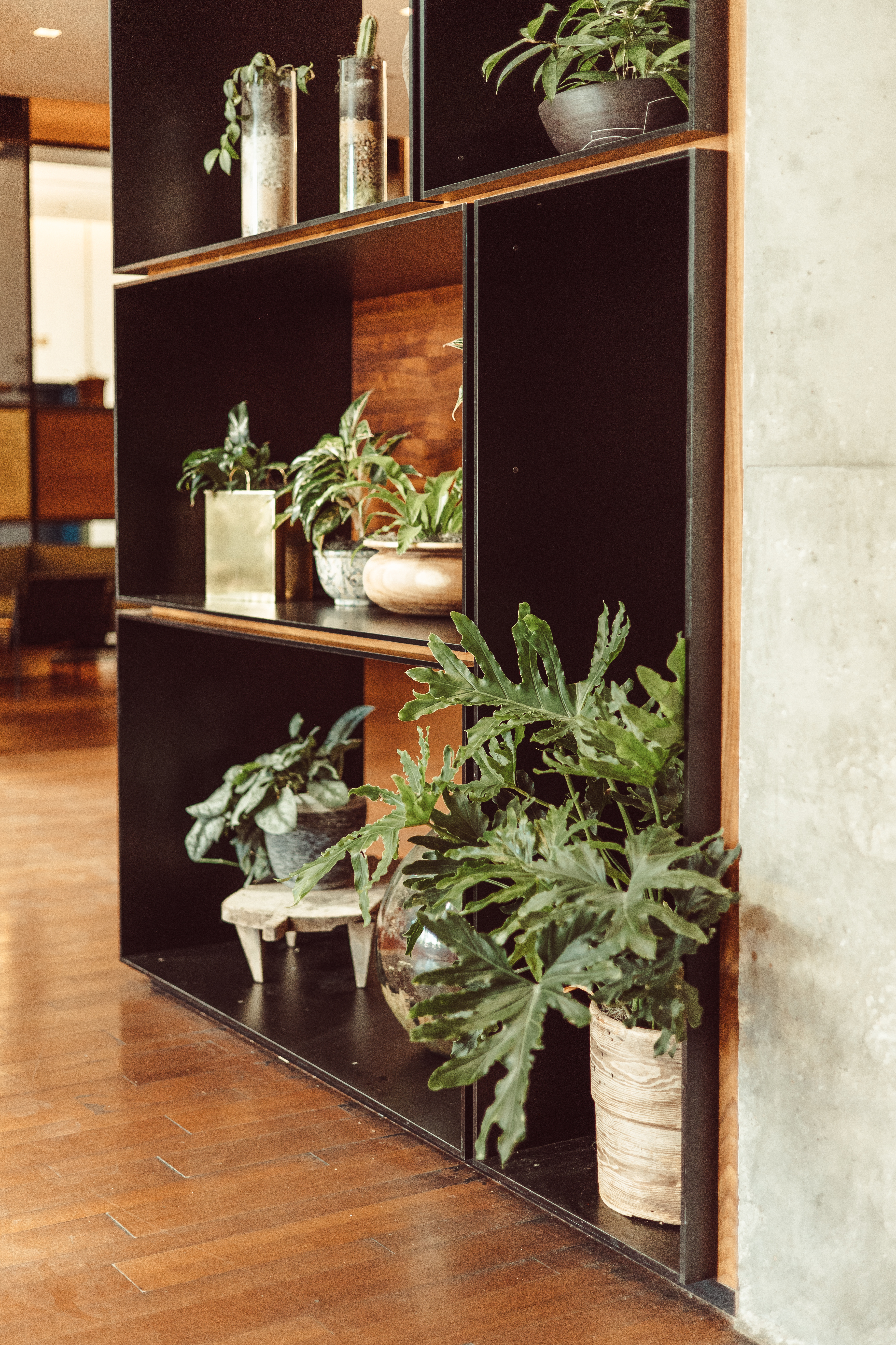 plant decor