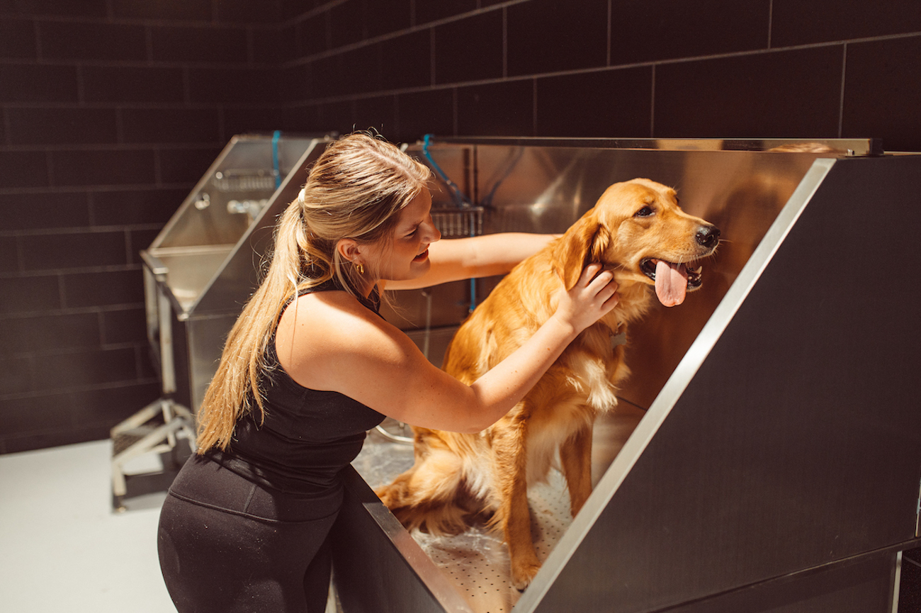 Girl washing dog in dog spa at Rambler ATX